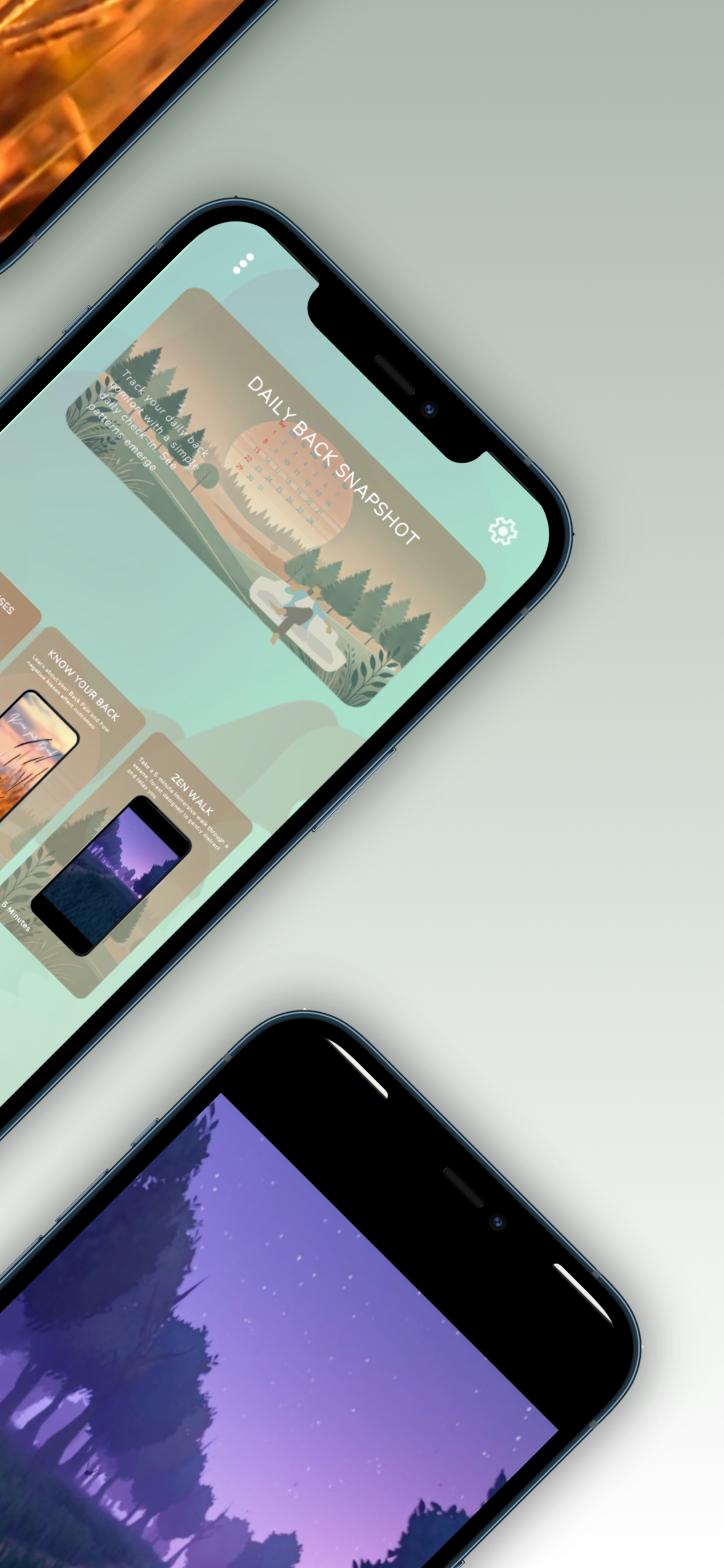 Daily back snapshot